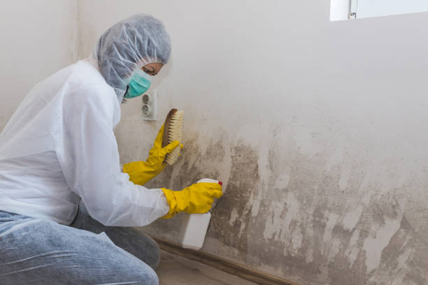 Forensic Mold Investigation in Webster Groves, MO